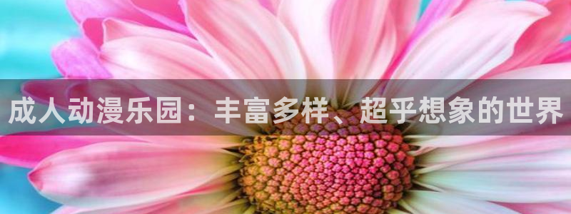 风车动漫动漫啦：成人动漫乐园：丰富多样、超乎想象的世界