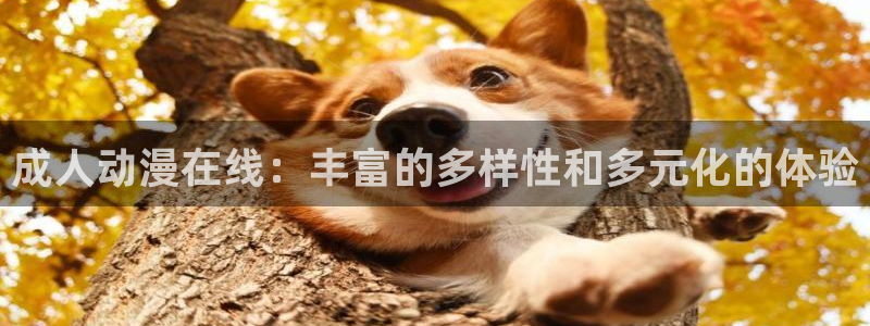 风车动漫官网入口：成人动漫在线：丰富的多样性和多元化的体验