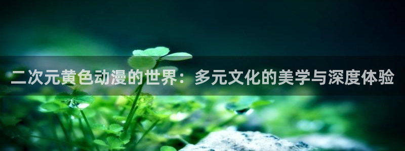 风车动漫吧：二次元黄色动漫的世界：多元文化的美学与深度体验