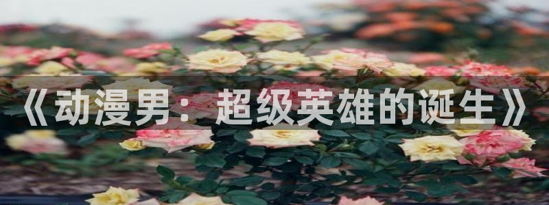 灵笼风车动漫：《动漫男：超级英雄的诞生》
