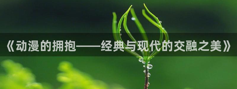 风车动漫网站：《动漫的拥抱——经典与现代的交融之美》