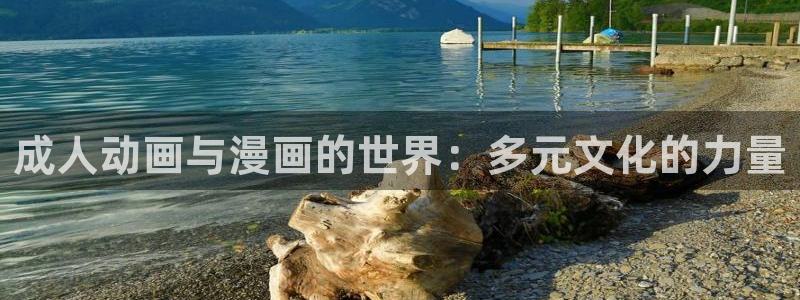 那里可以下载风车动漫：成人动画与漫画的世界：多元文化的力量